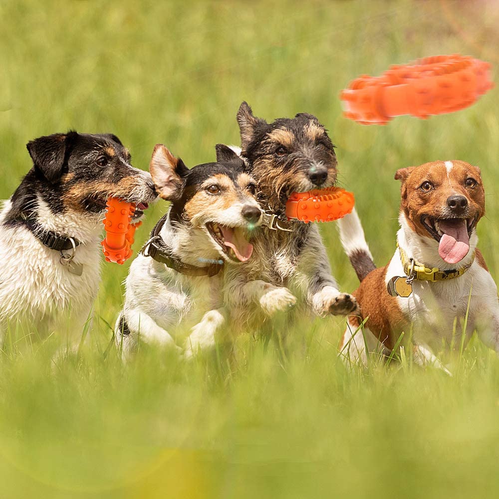 durable soft chew toys for dogs