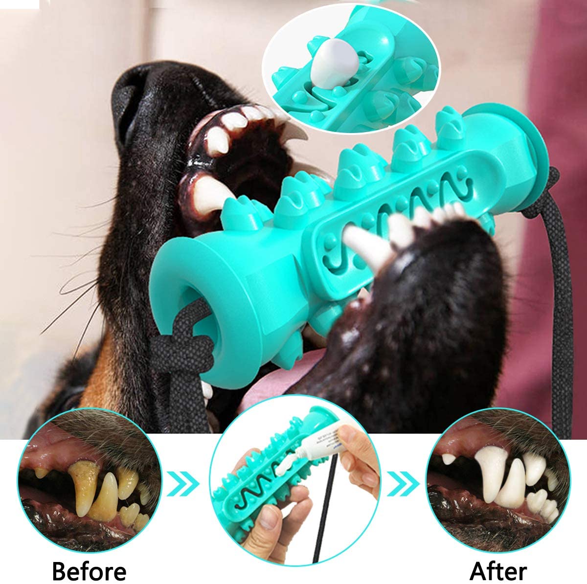 comfy bear dog toothbrush toy