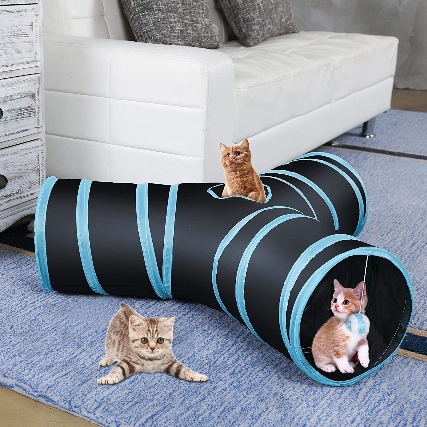cat tube tunnel
